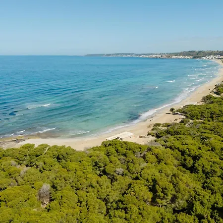 Colli * ガリポリ