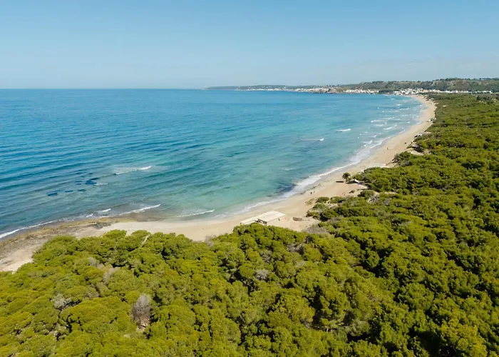 Colli * ガリポリ